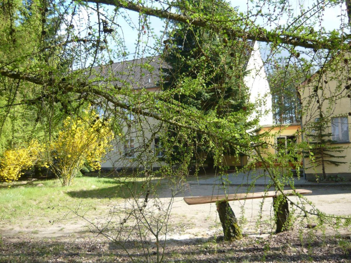Grosse Wohnung Nossentiner Huette 外观 照片